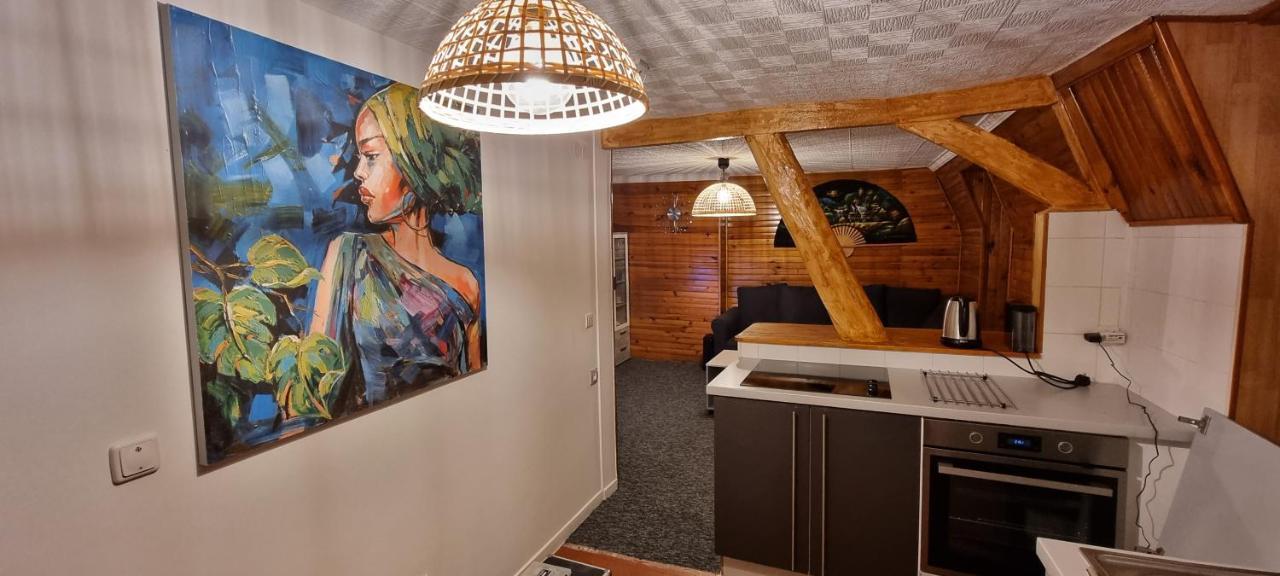 Chambre Privee Numero 1 Dans Un Superbe Appartement En Colocation Montataire Екстер'єр фото